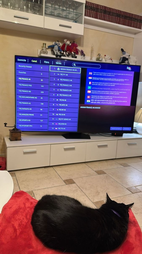 iptv subscription